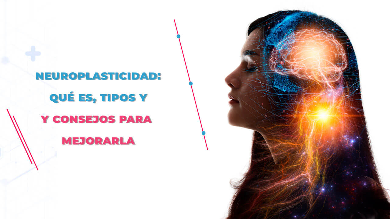 Imagen de Neuroplasticidad: Qué es, tipos y consejos para mejorarla
