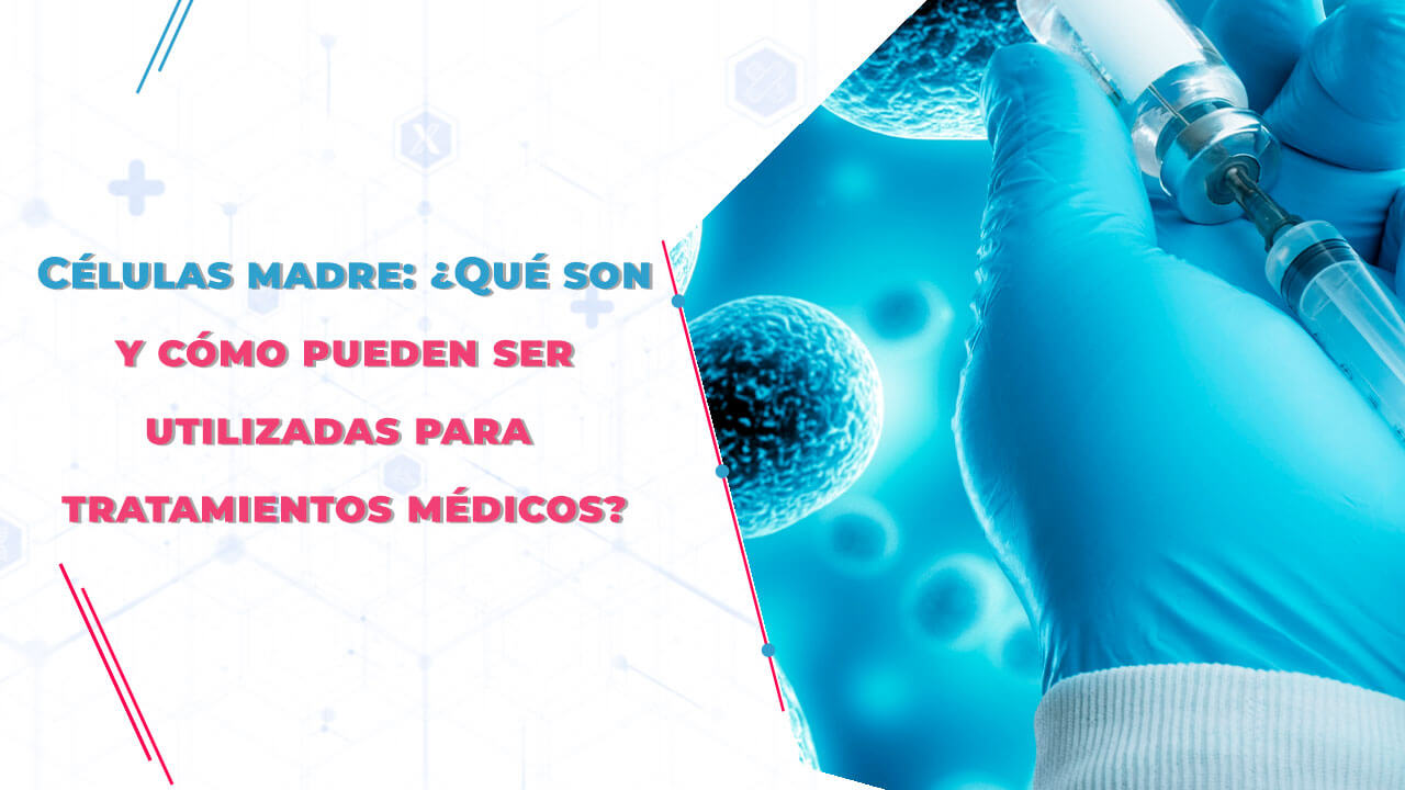 Células madre